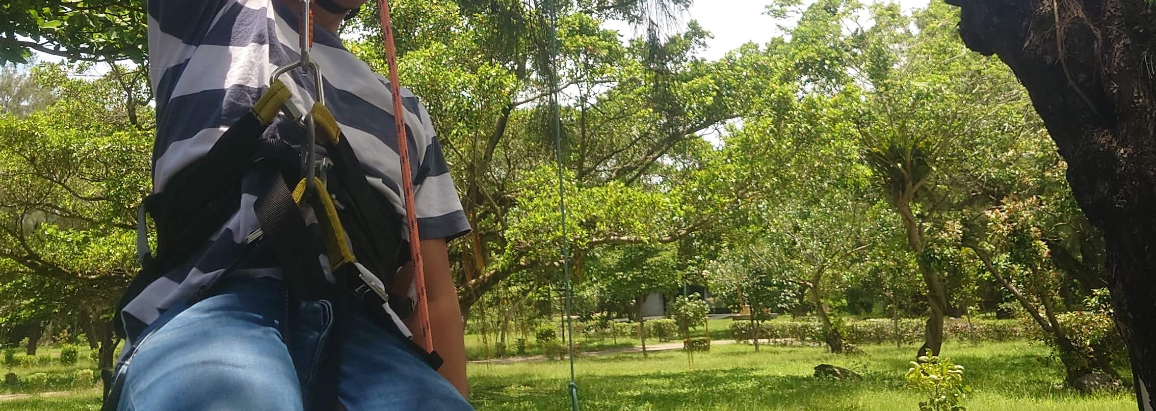 kinh nghiệm trèo cây